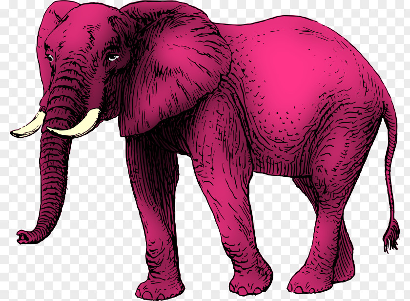 Elephant Clipart Silhouette Drawing Clip Art PNG