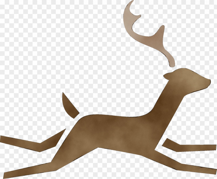 Fawn Gazelle Reindeer PNG