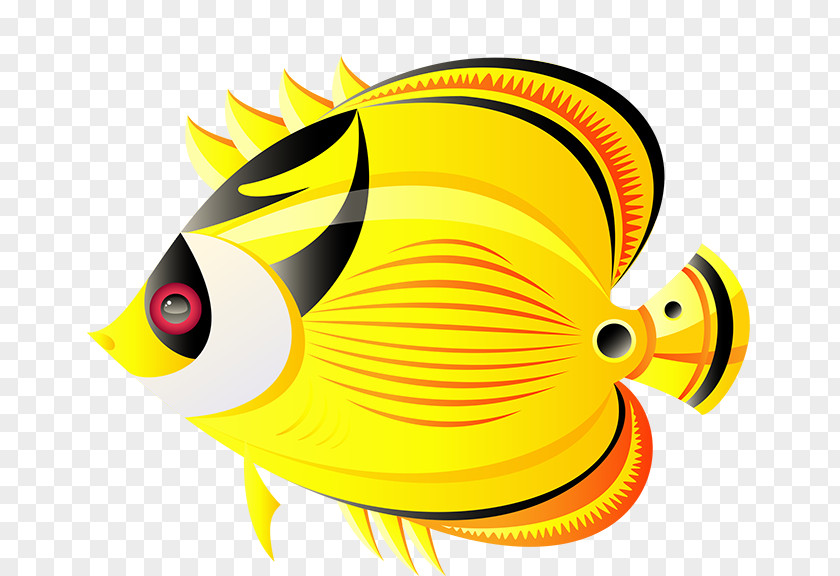Fish Angelfish Tropical Clip Art Drawing PNG