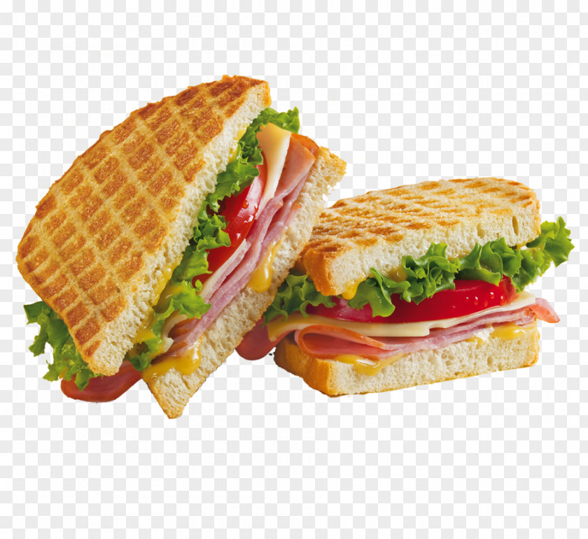 Jamon Chicken Sandwich Cheese Vegetable Submarine Hamburger PNG