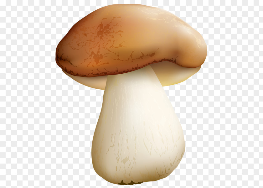 Mushroom Edible Food Common PNG