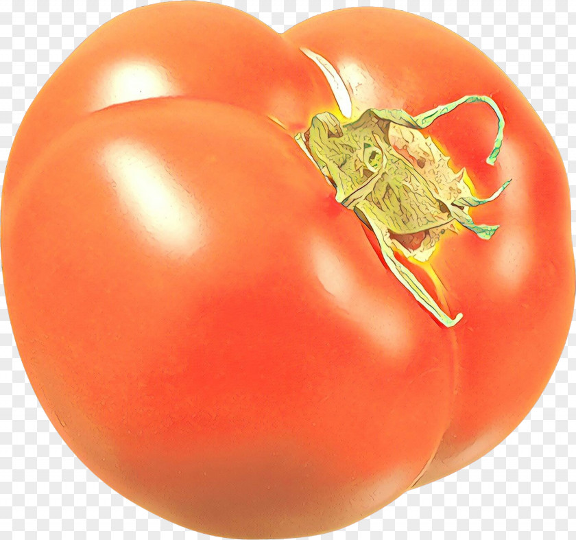 Nightshade Family Vegetarian Food Tomato Cartoon PNG