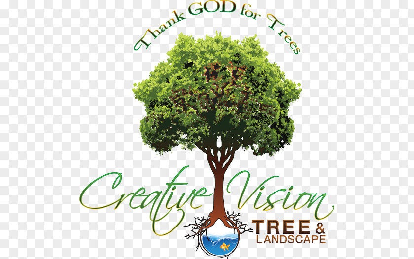 Creative Tree Stock Photography Green Wood PNG