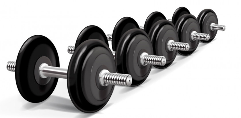 Dumbbell Weight Training Strength Physical Exercise Barbell PNG