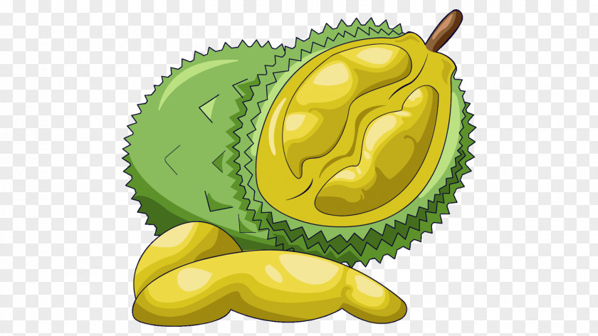 Durian Fruit Food Clip Art PNG