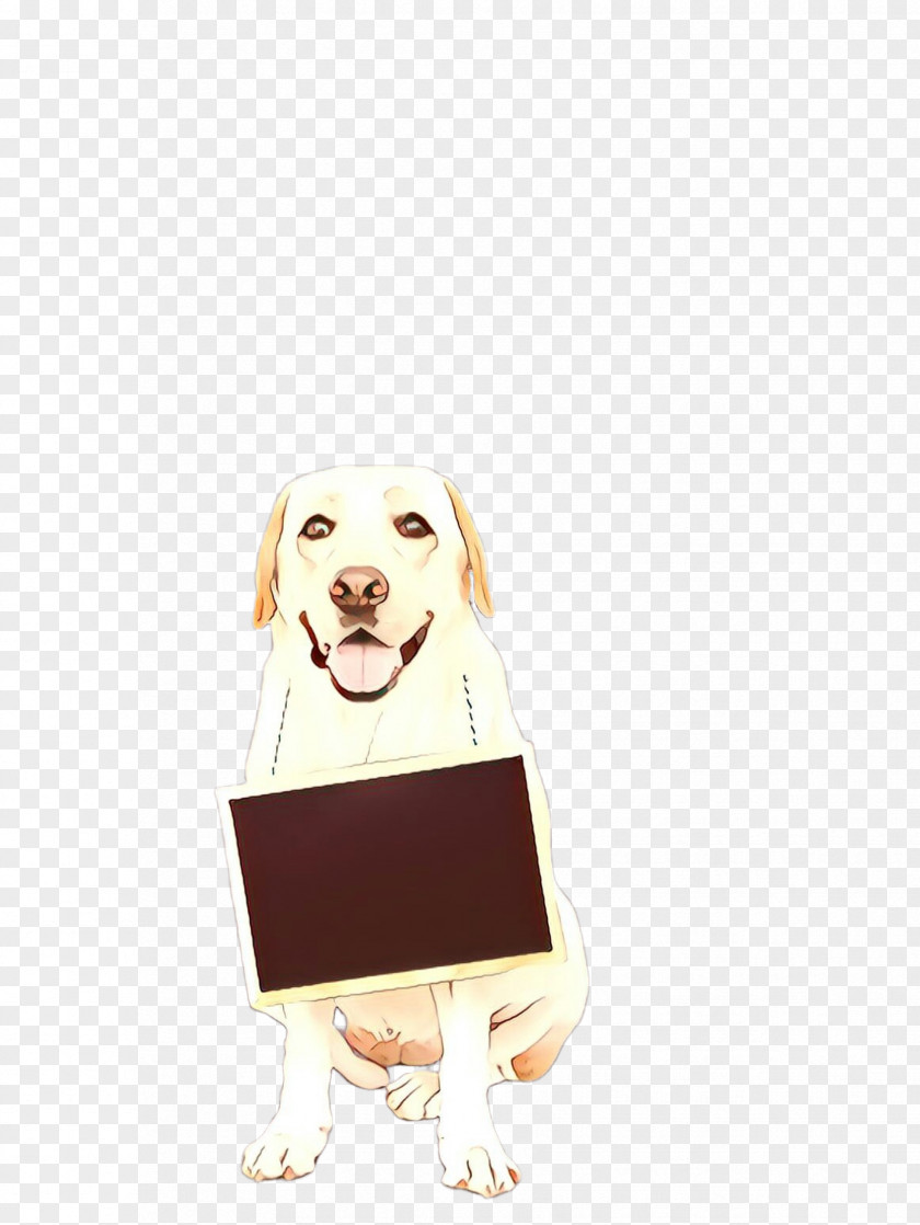 Fawn Golden Retriever Background PNG