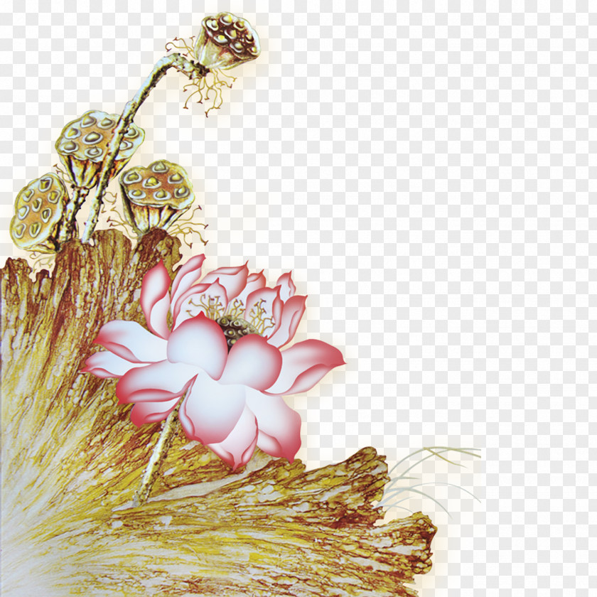 Lotus Nelumbo Nucifera Ink Wash Painting Wall Bird-and-flower PNG