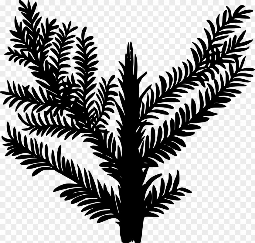Plant Triassic Date Palm Clip Art PNG