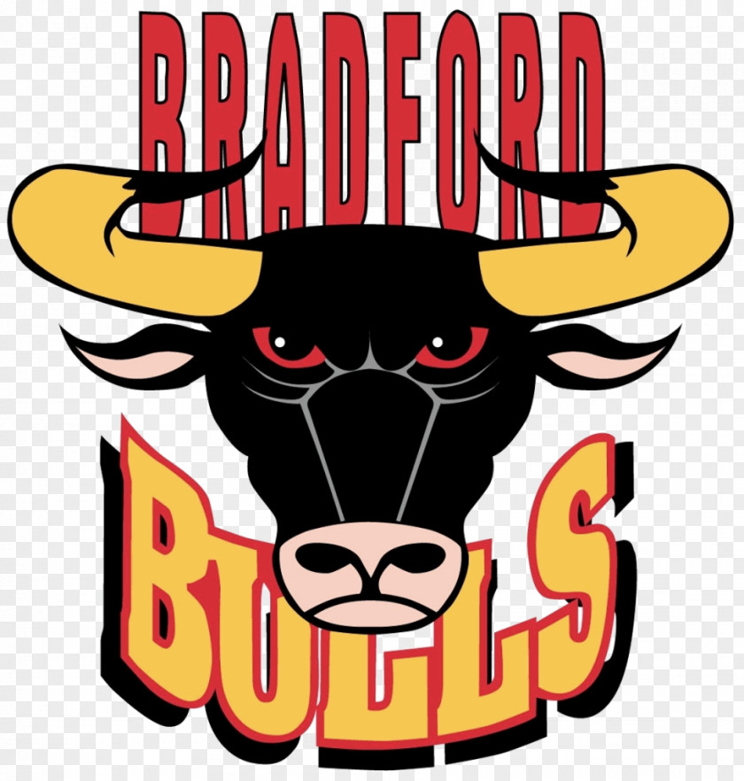 Red Bull Bradford Bulls Foundation St Helens R.F.C. Leeds Rhinos Super League PNG
