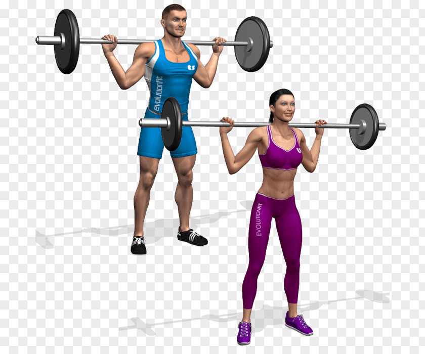 3d Model Home Weight Training Barbell Exercise Strength Squat PNG