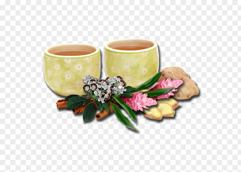 Cup Coffee Ceramic Flowerpot PNG