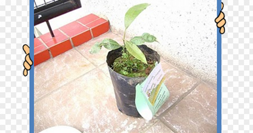 Leaf Flowerpot Plastic Houseplant PNG