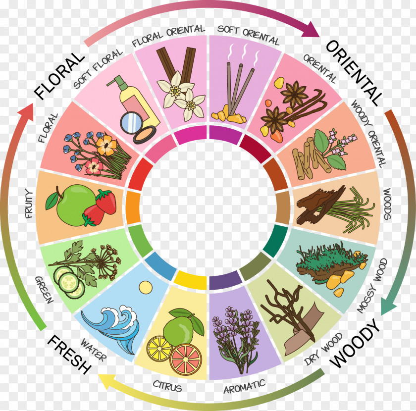 Perfume Fragrance Wheel Aroma Compound Oil Note PNG