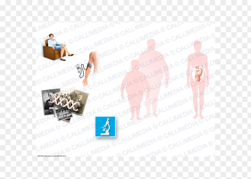Ráº¯n 3d Diabetes Mellitus Diabetology Illustration Anatomique PNG