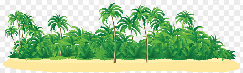 Summer Tropical Island With Palm Trees Clip Art Image New Britain Islands Resort Icon PNG