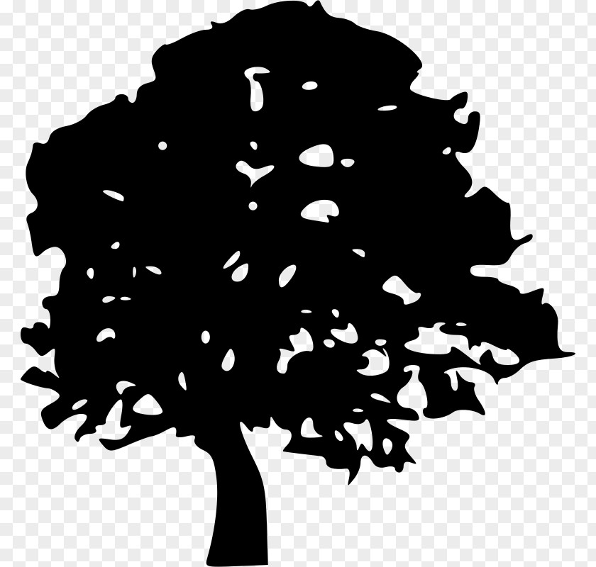 Tree Silhouette Clip Art PNG