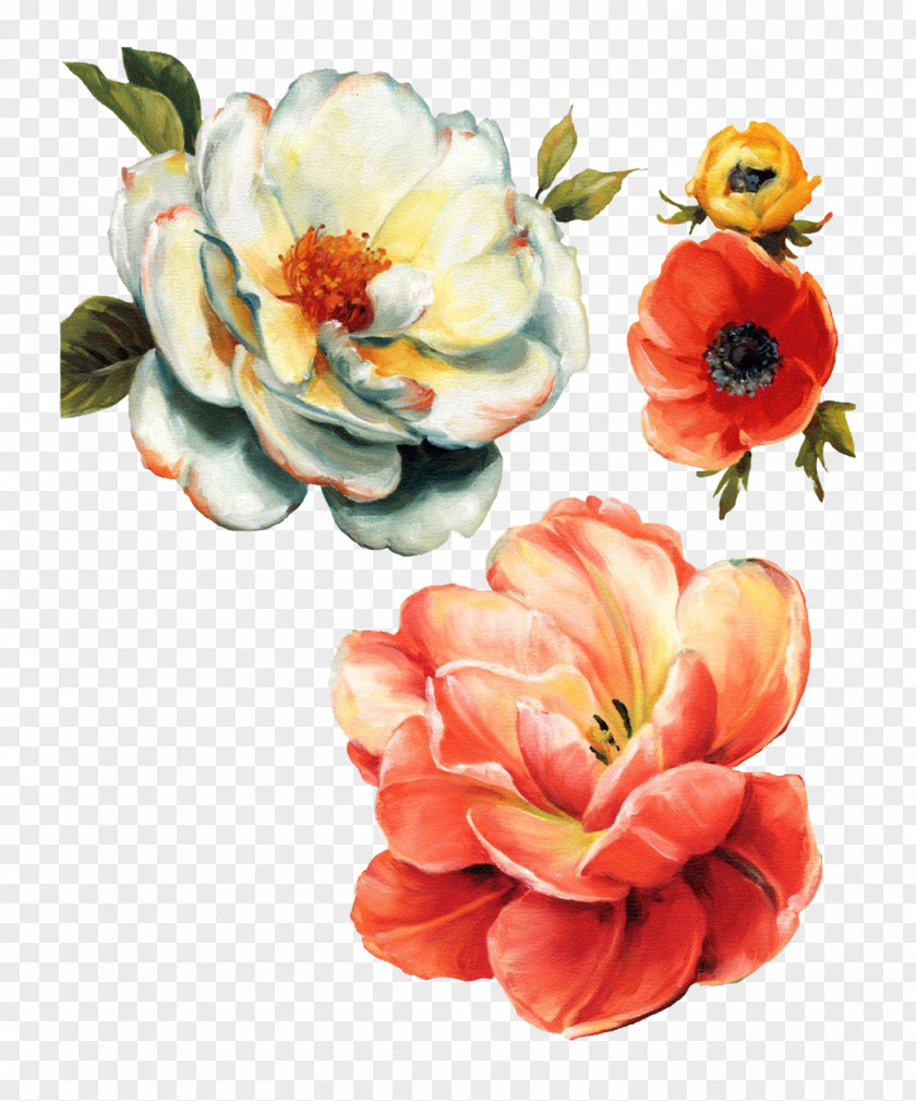 Watercolor Rose Painting Flowers Floral Design Watercolour PNG