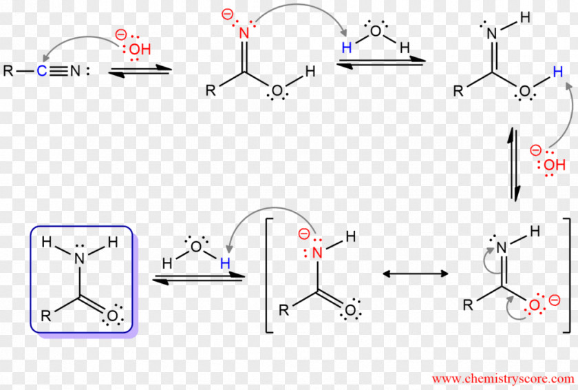 Acid Hydrolysis Catalysis Ester PNG