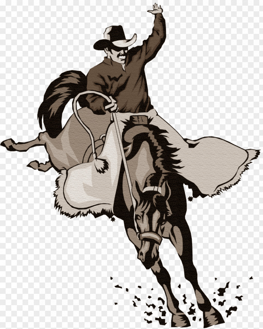 Bull Bucking Bronco Equestrian Rodeo Clip Art PNG