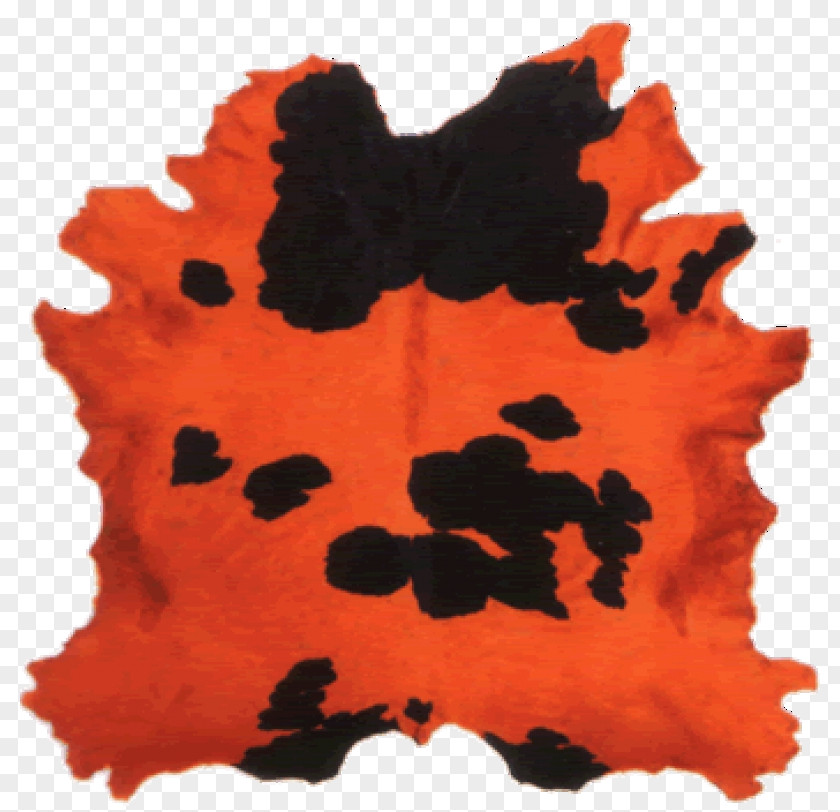 Leaf Dye PNG