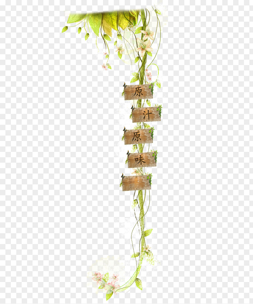 Text Branches Wood Download Computer File PNG