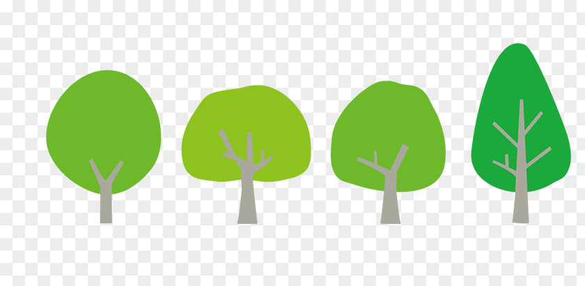 Tree Forest Shulin District Gratis PNG