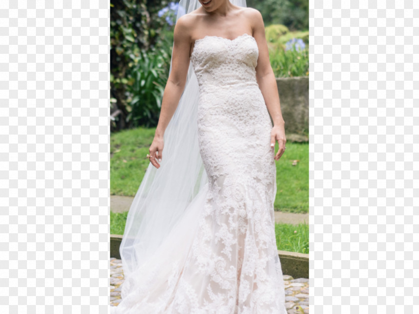 Wedding Dress Ivory Sleeve PNG