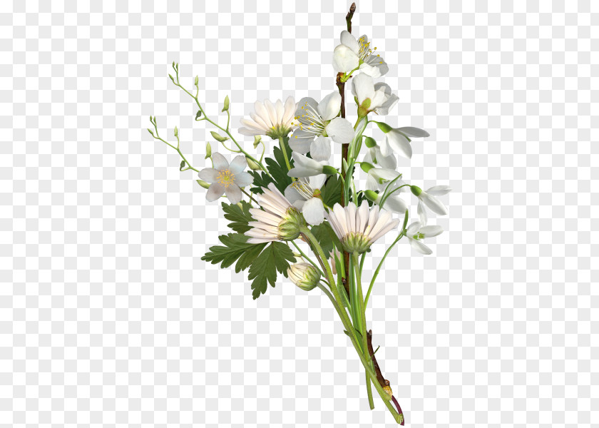 Bouquet Of White Flowers Flower Woman Bride Wedding Dress PNG