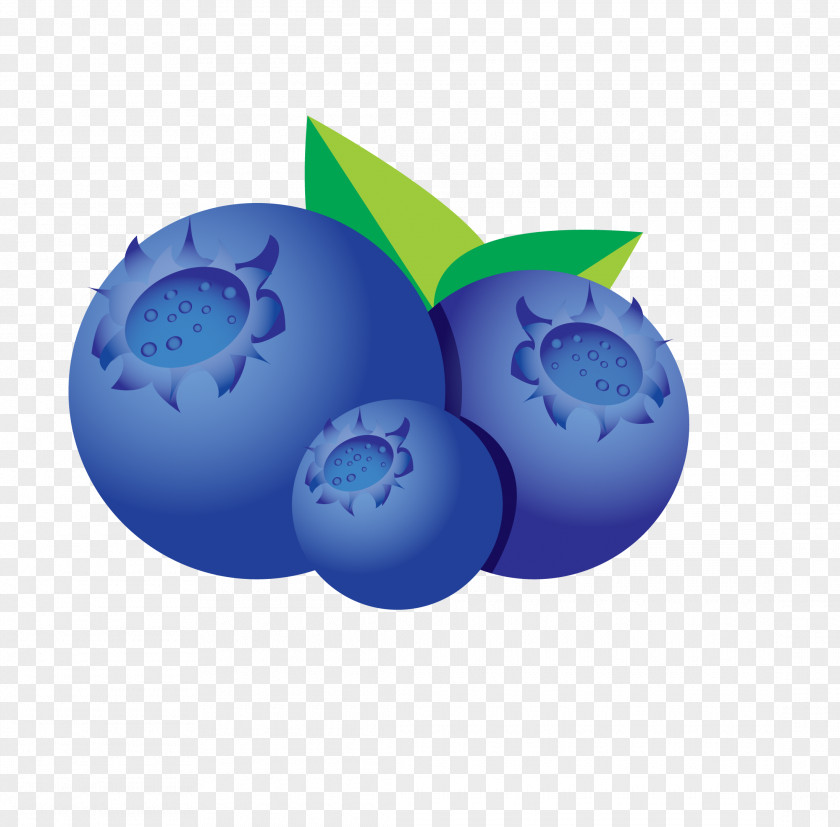 Drawing Bilberry PNG