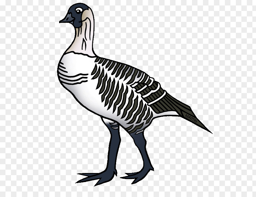 Duck Goose Hawaii Nene Clip Art PNG