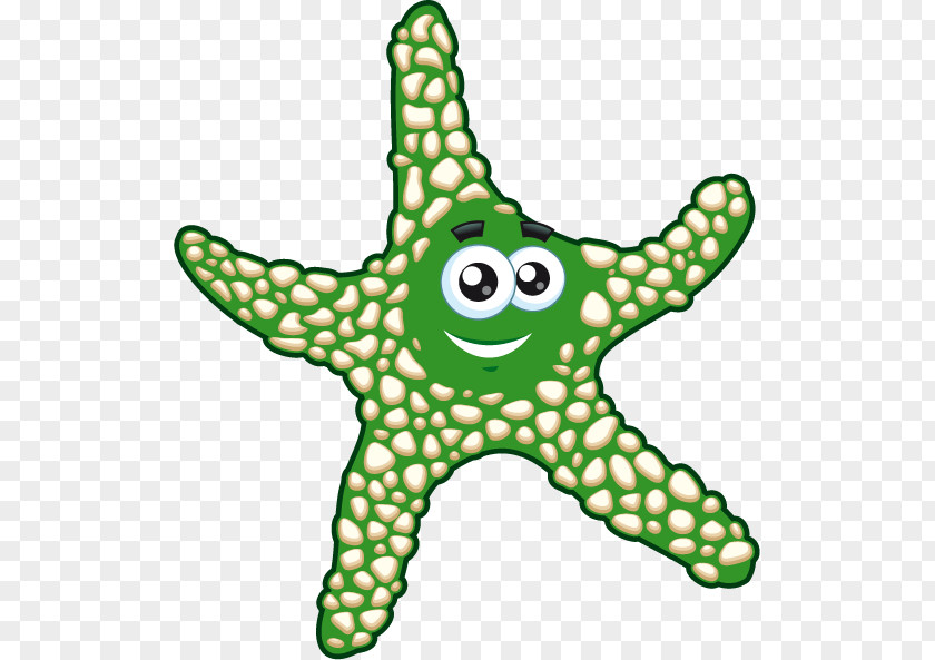 Green Starfish Drawing PNG