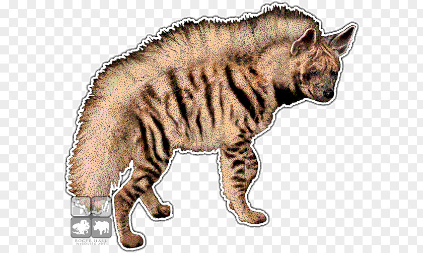 Hyena Africa Striped Cat Brown PNG