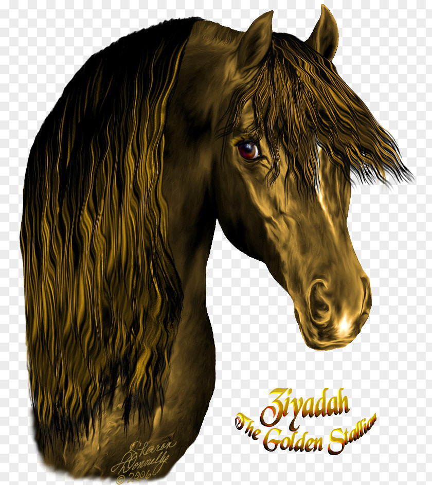 Mustang Stallion Pony Halter Pack Animal PNG