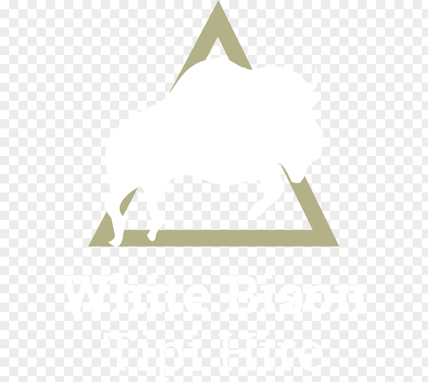 Tipi Triangle Line Logo PNG