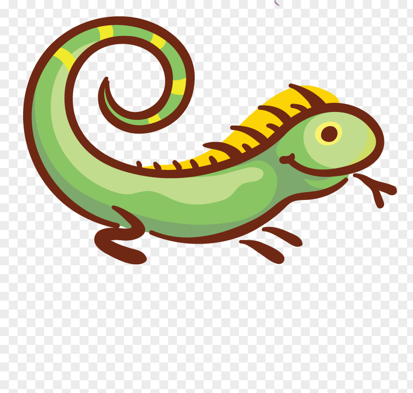 Animal Chameleon Chameleons Lizard Clip Art PNG