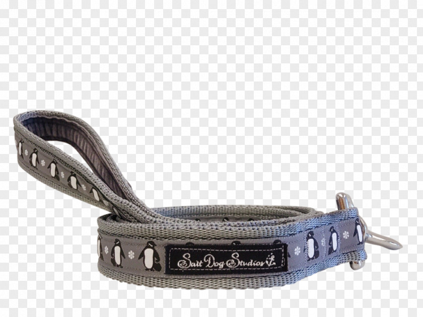Belt Dog Collar Leash PNG
