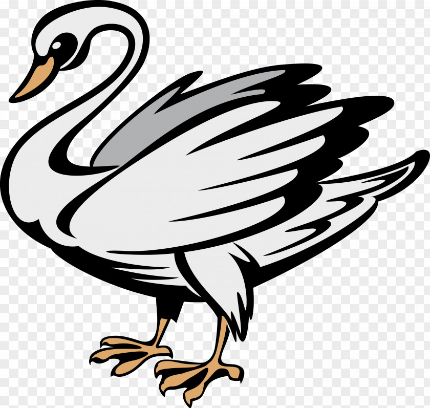 Duck Coat Of Arms Heraldry Symbol Black Swan PNG
