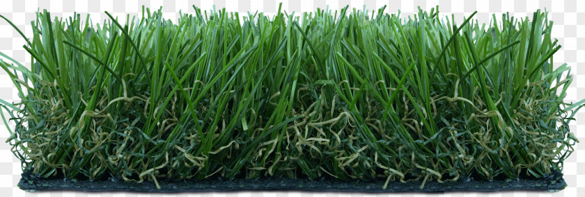 Euphoria Artificial Turf Lawn Koninklijke Ten Cate Nv Synthetic Fiber PNG