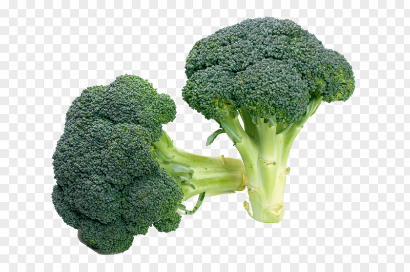 HD Broccoli Vegetable Food Recipe Salad PNG