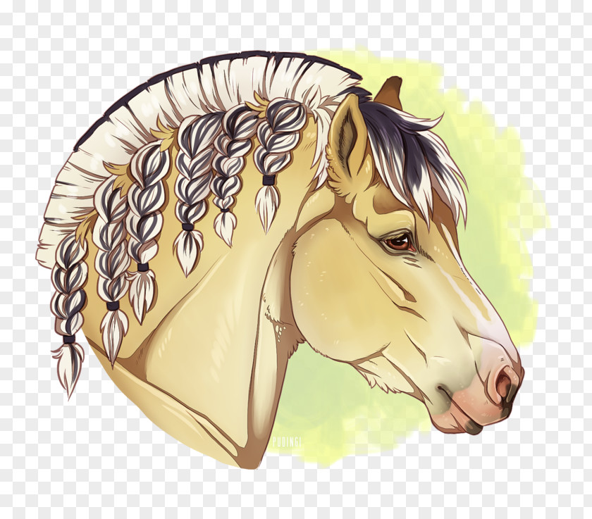 Mustang Fjord Horse Mane Pony PNG