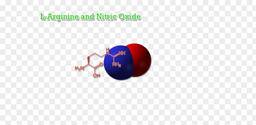 Nitric Oxide Arginine Nitrogen Dioxide Citrulline PNG