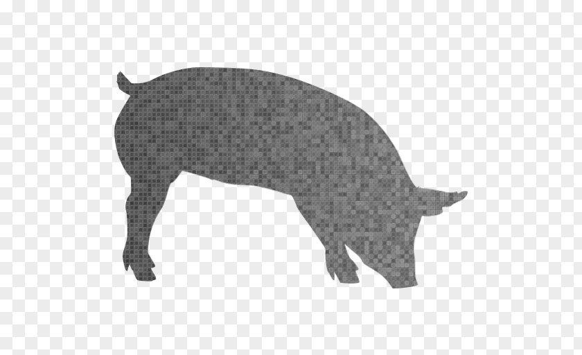 Pig Clip Art Hippopotamus Sticker Gray Wolf PNG