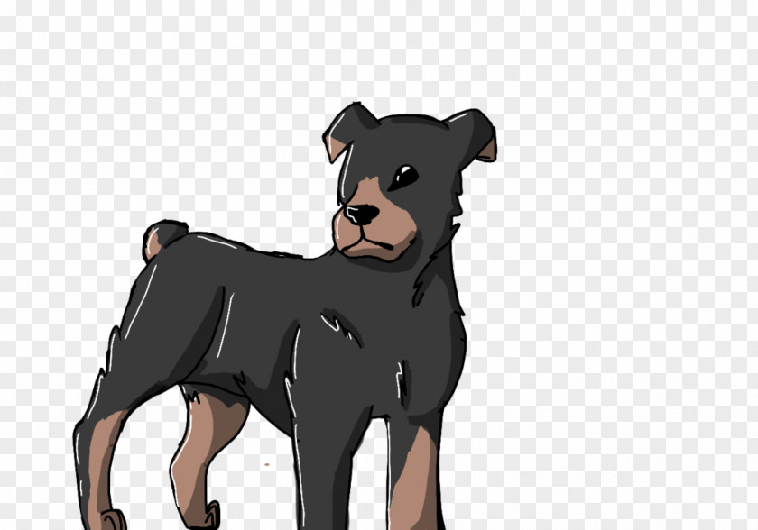 Puppy German Pinscher Dog Breed Snout PNG