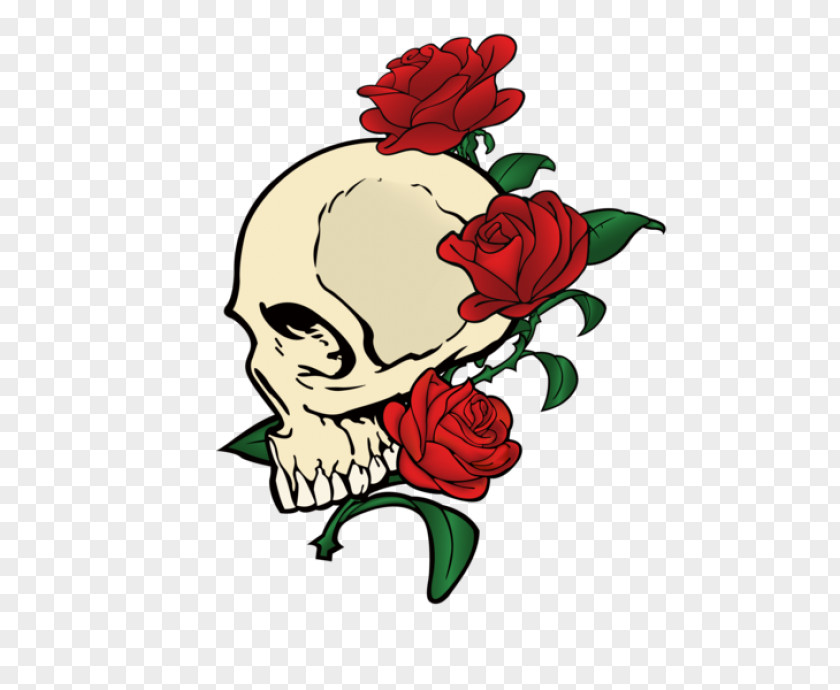 Rose Vector Drawing Skull Clip Art PNG