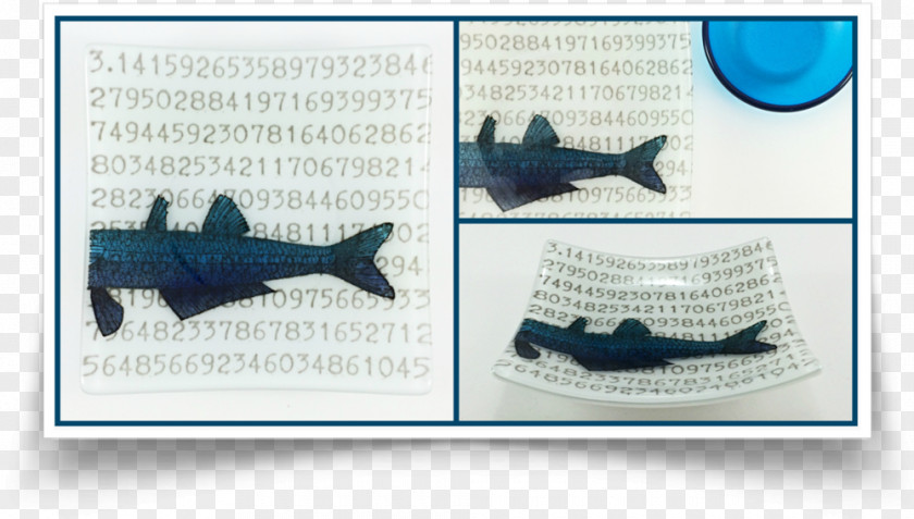 Fish Plate Animal Pattern PNG