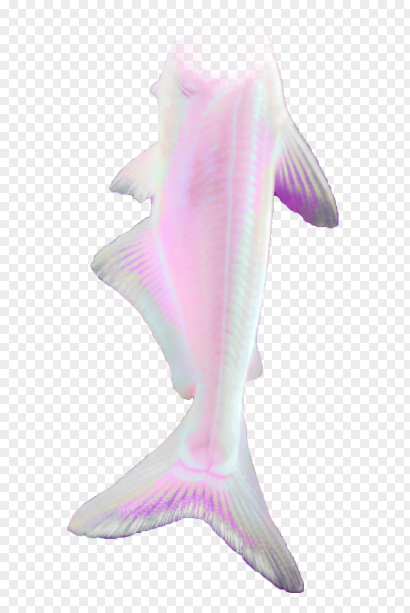 Mermaid Tail Lilac Purple Marine Mammal Fish PNG