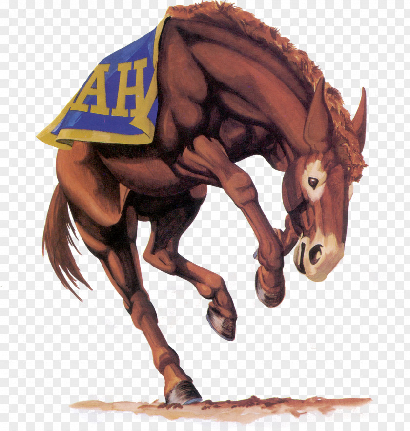 Mule Alamo Heights High School Junior Class National Secondary PNG
