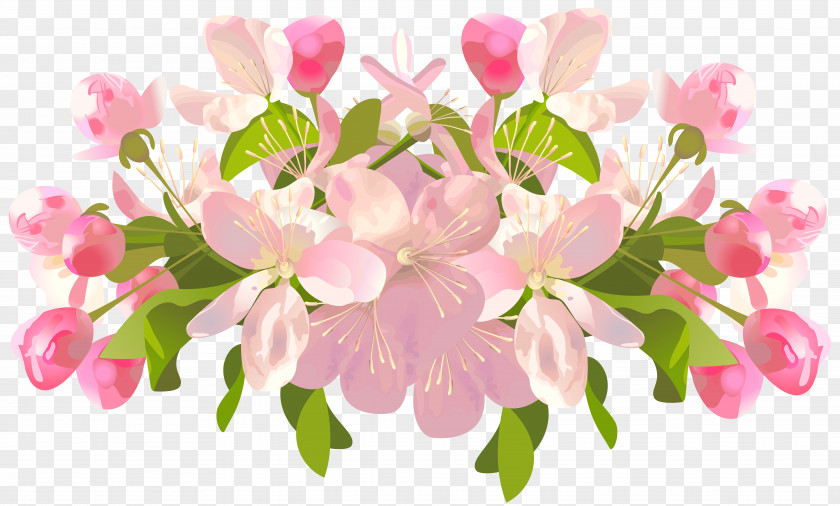 Spring Tree Flowers Transparent Clip Art Image Flower PNG