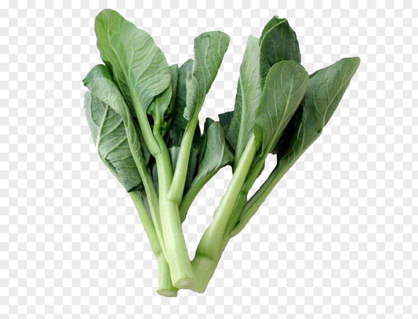 Cabbage Choy Sum Chard Cruciferous Vegetables PNG