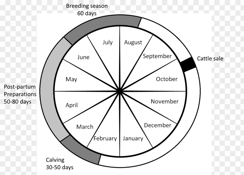 Circle Bicycle Wheels Rim Diagram PNG